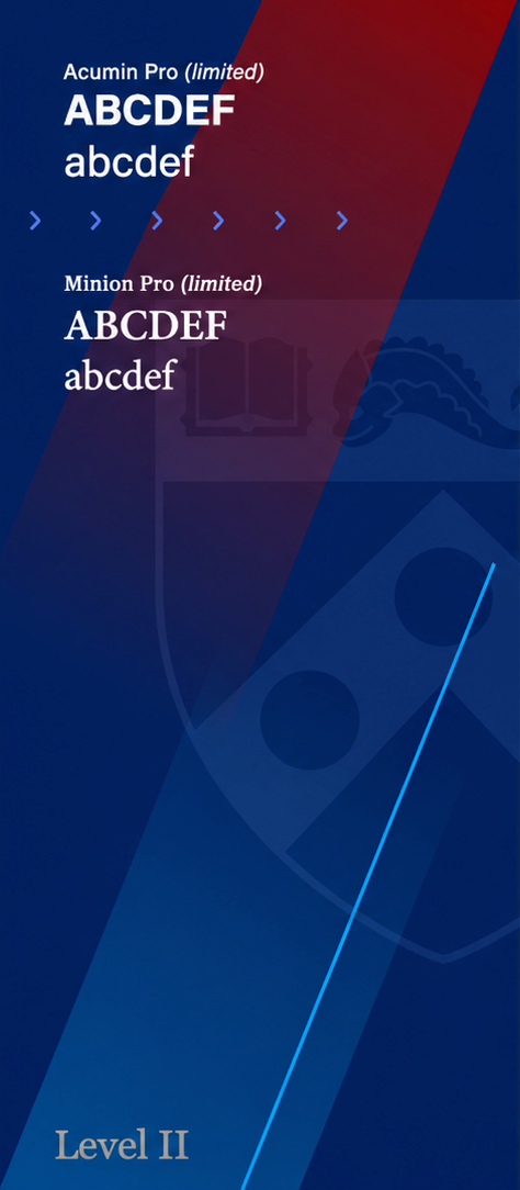 Level 2 Example Text showing font samples for Acumin Pro and Minion Pro, both noted as limited. Background features an abstract design with blue, red, and a faint shield logo. The text "Level II" appears at the bottom.